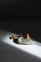 Cône d'encens palo santo - Conceptstore Royan